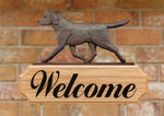 Chocolate Labrador - Michael Park Collection Dog in Gait Welcome Stake