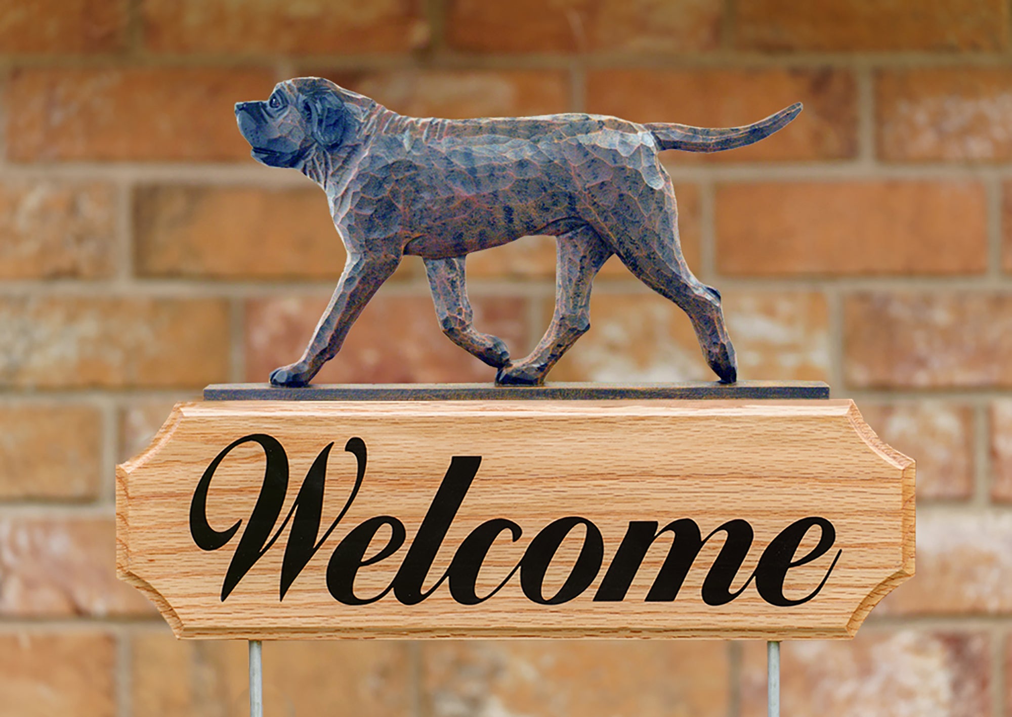 Mastiff Apricot Brindle Michael Park Collection Dog in Gait Welcome