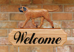 Mastiff Apricot  - Michael Park Collection Dog in Gait Welcome Stake