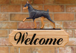 Miniature Pinscher Chocolate and Tan - Michael Park Collection Dog in Gait Welcome Stake