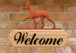 Miniature Pinscher Red - Michael Park Collection Dog in Gait Welcome Stake