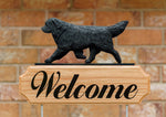 Newfoundland Black - Michael Park Collection Dog in Gait Welcome Stake