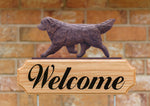 Newfoundland Brown - Michael Park Collection Dog in Gait Welcome Stake