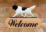 Newfoundland Landseer - Michael Park Collection Dog in Gait Welcome Stake