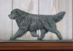 Newfoundland Blue - Michael Park Collection Dog in Gait Toppers