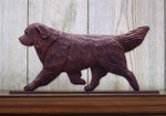 Newfoundland Brown - Michael Park Collection Dog in Gait Toppers