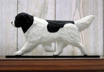 Newfoundland Landseer - Michael Park Collection Dog in Gait Toppers