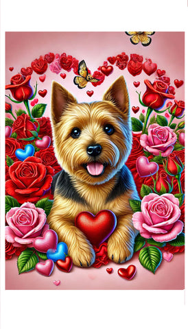 Norwich Terrier - Best of Breed DCR Valentines Day Outdoor House and Garden Flag