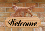 Nova Scotia Duck Tolling - Michael Park Collection Dog in Gait Welcome Stake