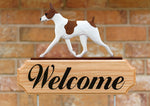 Rat Terrier Red and White - Michael Park Collection Dog in Gait Welcome Stake