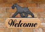 Schnauzer Natural Ears Black - Michael Park Collection Dog in Gait Welcome Stake