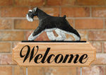 Schnauzer Natural Ears Black and Silver - Michael Park Collection Dog in Gait Welcome Stake