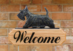 Scottish Terrier Brindle - Michael Park Collection Dog in Gait Welcome Stake