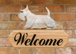 Scottish Terrier Wheat - Michael Park Collection Dog in Gait Welcome Stake