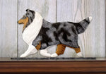 Sheltie Blue Merle - Michael Park Collection Dog in Gait Toppers