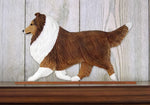 Sheltie Sable -  Michael Park Collection Dog in Gait Toppers