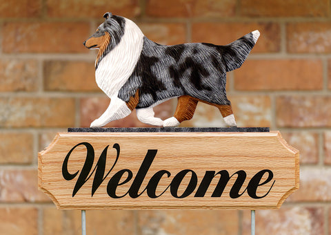 Shetland Sheepdog Blue Merle - Michael Park Collection Dog in Gait Welcome Stake