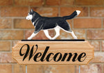 Siberian Husky Black - Michael Park Collection Dog in Gait Welcome Stake