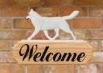 Siberian Husky White - Michael Park Collection Dog in Gait Welcome Stake