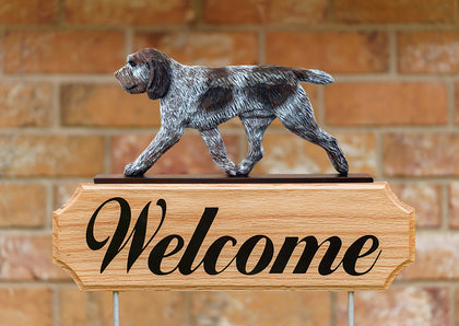 Spinone Italiano Brown Roan - Michael Park Collection Dog in Gait Welcome Stake