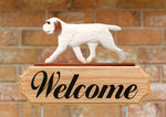 Spinone Italiano Orange and White - Michael Park Collection Dog in Gait Welcome Stake