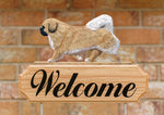 Tibetan Spaniel Fawn - Michael Park Collection Dog in Gait Welcome Stake