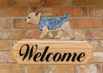 Yorkshire Terrier Puppy Cut - Michael Park Collection Dog in Gait Welcome Stake