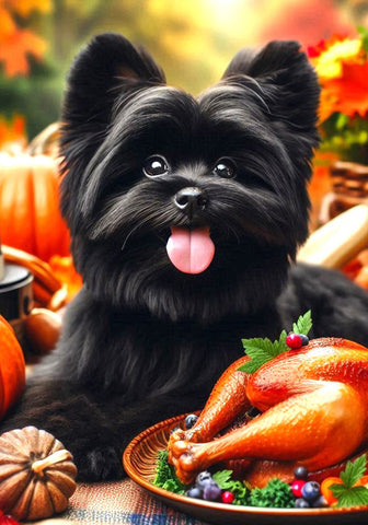 Affenpinscher -  Best of Breed DCR Thanksgiving Outdoor House and Garden Flag