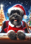 Affenpinscher -  Best of Breed DCR Christmas Outdoor House and Garden Flag