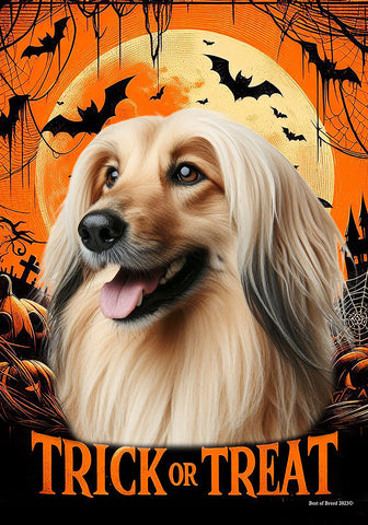 Afghan - Best of Breed  Halloween Outdoor House and Garden Flag