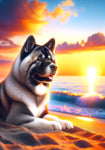 Akita Silver -  Best of Breed DCR Summer Sunset Outdoor House and Garden Flag