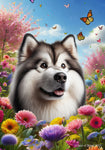 Alaskan Malamute - Best of Breed  Spring Butterflies Outdoor House and Garden Flag