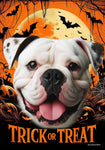 American Bulldog - Best of Breed  Halloween Outdoor House and Garden Flag