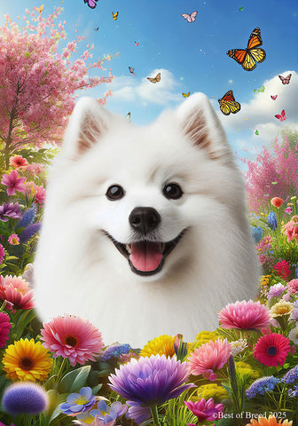 American Eskimo - Best of Breed  Spring Butterflies Outdoor House and Garden Flag