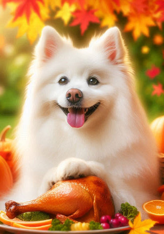 American Eskimo -  Best of Breed DCR Thanksgiving Outdoor House and Garden Flag