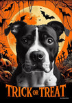 American Pit Bull Black/White - Best of Breed  Halloween Outdoor House and Garden Flag