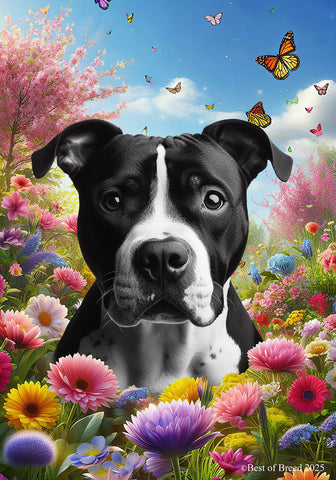 American Pit Bull Black/White - Best of Breed  Spring Butterflies Outdoor House and Garden Flag