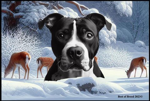 American Pit Bull Black/White - Best of Breed Winter Wonderland Floor Mat Tufted Loop 18" x 27"