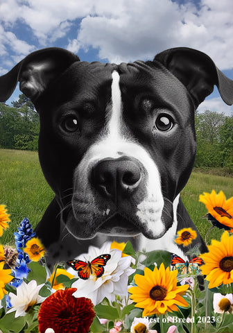 American Pit Bull Black/White - Best of Breed  Summer Fields Outdoor House and Garden Flag