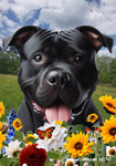 American Pit Bull Black -  Best of Breed  Summer Fields Outdoor House and Garden Flag