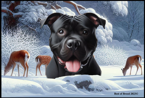 American Pit Bull Black -  Best of Breed Winter Wonderland Floor Mat Tufted Loop 18" x 27"