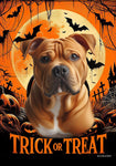 American Pit Bull Orange - Best of Breed  Halloween Outdoor House and Garden Flag