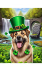 Anatolian Shepherd  - Best of Breed DCR Saint Patricks Day Day Outdoor House and Garden Flag