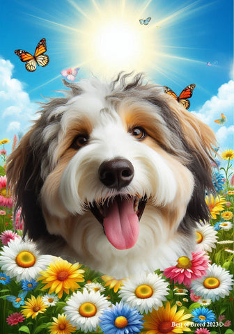 Aussiedoodle - Best of Breed  Summer Butterflies Outdoor House and Garden Flag