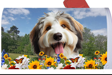 Aussiedoodle - Best of Breed Summer Flowers Mailbox Cover Hi-Grade Vinyl 6" x 19"