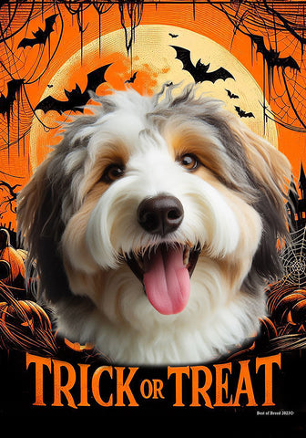 Aussiedoodle - Best of Breed  Halloween Outdoor House and Garden Flag