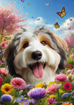 Aussiedoodle - Best of Breed  Spring Butterflies Outdoor House and Garden Flag