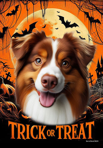 Australian Shepherd Red Tri - Best of Breed  Halloween Outdoor House and Garden Flag