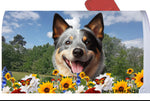 Australian Cattle Dog Blue - Best of Breed Summer Flowers Mailbox Cover Hi-Grade Vinyl 6" x 19"