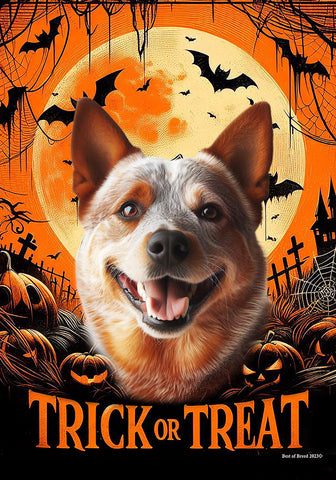 Australian Cattle Dog Red - Best of Breed  Halloween Outdoor House and Garden Flag